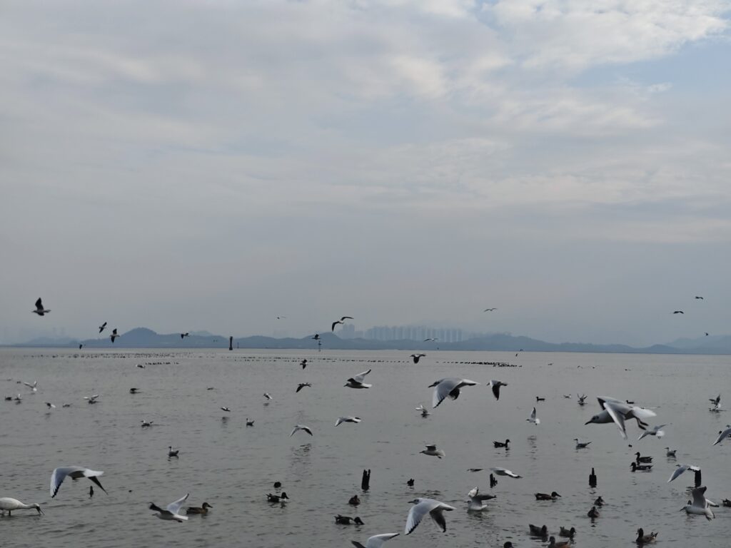 微信图片 20251209110558 205 46