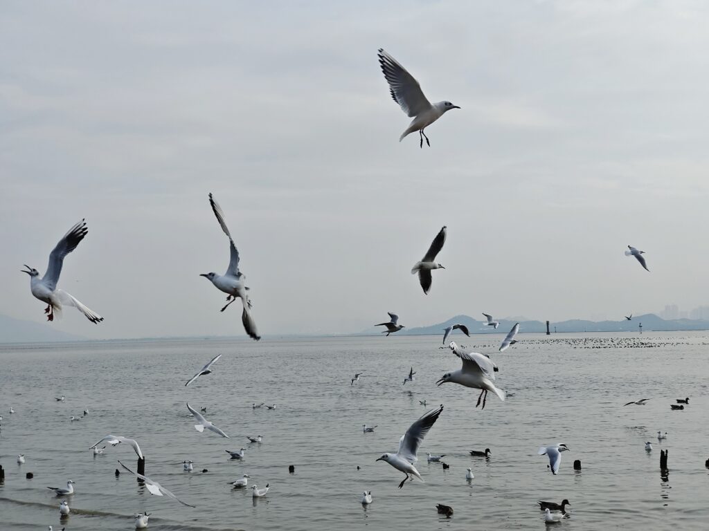 微信图片 20251209110605 206 46